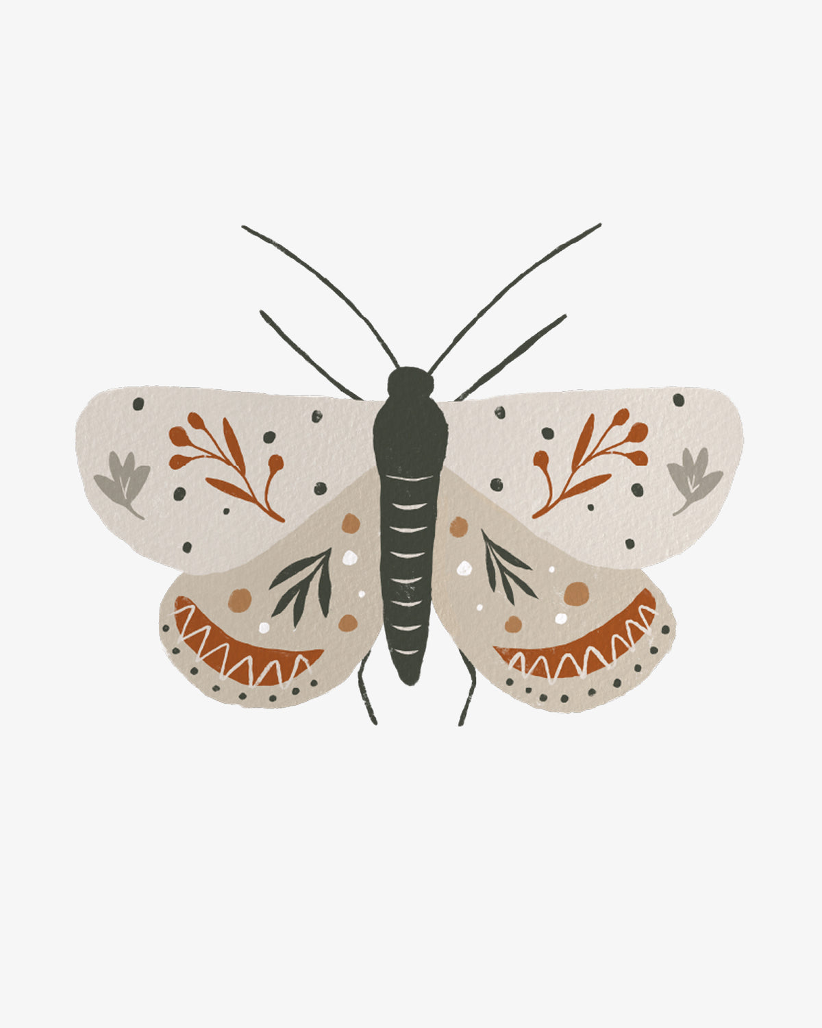 moth
