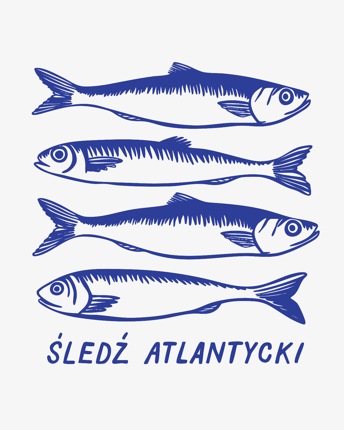 śledź