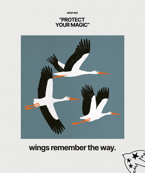 Oversize'owa koszulka "Wings remember the way"