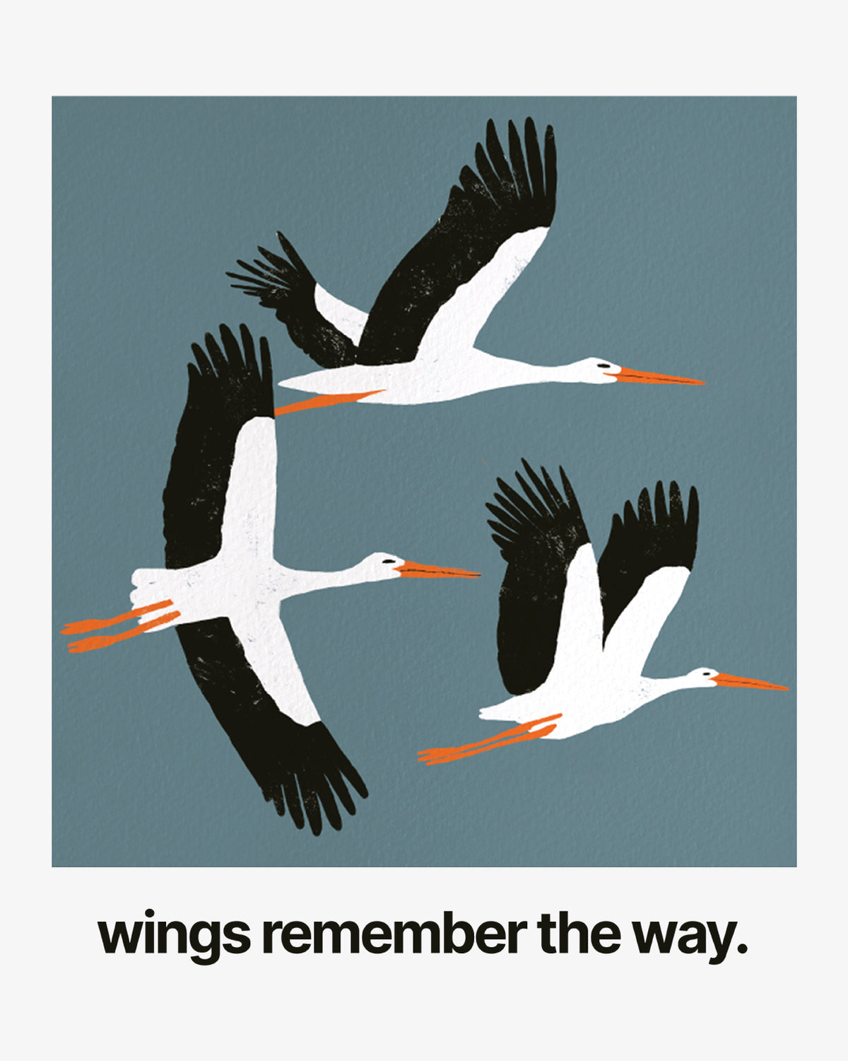wings