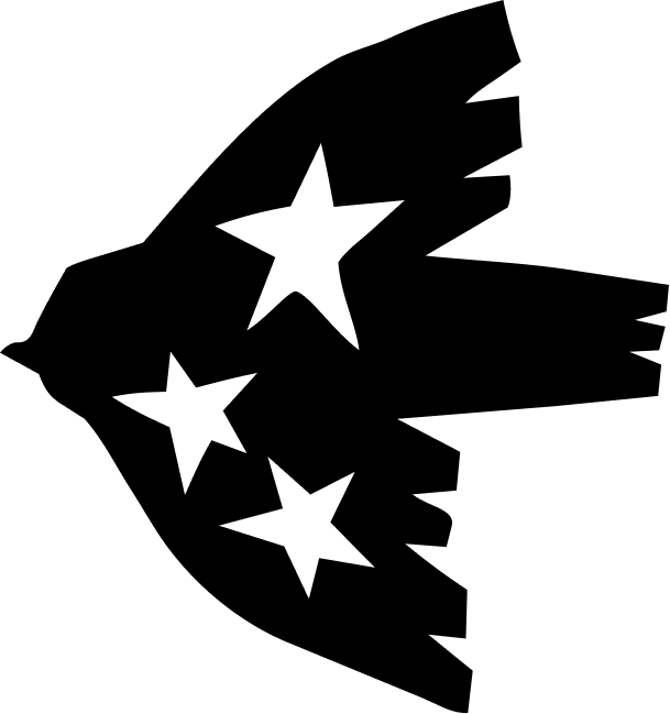 smthspcl.com